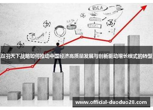 双羽天下战略如何推动中国经济高质量发展与创新驱动增长模式的转型
