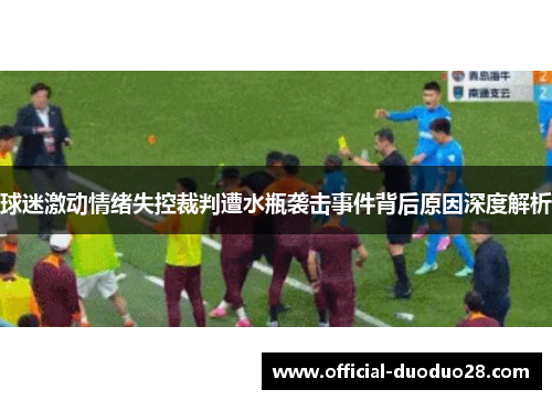 球迷激动情绪失控裁判遭水瓶袭击事件背后原因深度解析