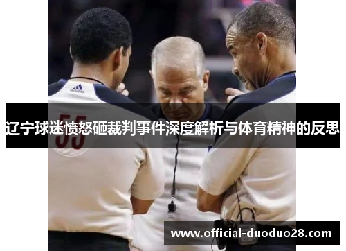 辽宁球迷愤怒砸裁判事件深度解析与体育精神的反思