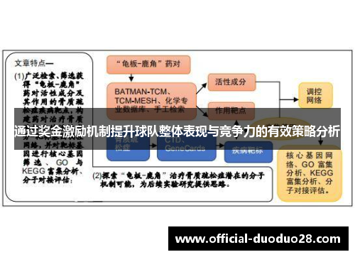 通过奖金激励机制提升球队整体表现与竞争力的有效策略分析