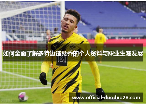 如何全面了解多特边锋桑乔的个人资料与职业生涯发展